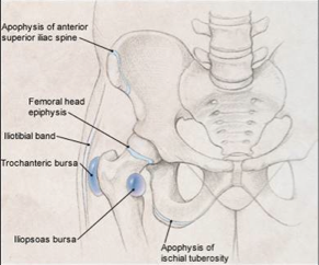 Steroid injection in hip flexor