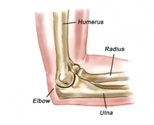 Osteochondritis Dissecans of Elbow Phoenix Shoulder and Knee